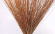 Bouquet Reed Cane Saumon 75cm