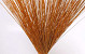 Reed Cane Oranje 75cm