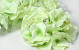 Hydrangea Head Green D18cm 