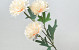 Artificial Chrysanthemum Light Peach 66cm 