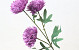 Chrysanthème artificiel Violet 66cm 