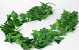 Guirlande Artificielle Pothos Vert 200cm 