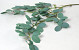 Artificial Eucalyptus Green 100cm 