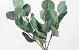 Artificial Eucalyptus Spray 34cm