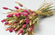 Dried Flower Bouquet Pink Natural 55cm