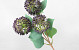 Artificial Allium Violet 42cm