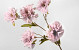 Artificial Carnation Pink 72cm