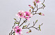 Artificial Magnolia Branch White/Pink 78cm