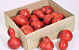 Calabash 10-14cm 15-Pack red