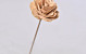 Wood Rose on 40cm stem