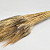 Wheat Black Beard 250gr 75cm