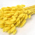 Lagurus Yellow 65cm