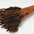 Bouquet Lagurus Marron 65cm